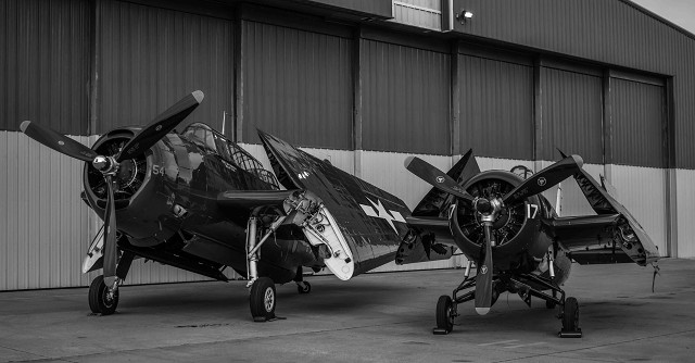 Grumman Avenger And Wildcat-BW